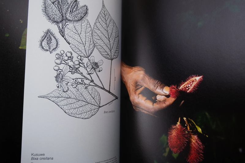 Fotoboek | Fourteen Leaves and a Cup of Water | Michelle Piergoelam